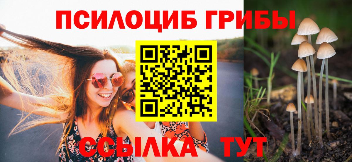 купить закладку  Вход с VPN  Псилоцибиновые грибы прущие грибы  Балтийск  Галлюциногенные грибы Psilocybine cubensis 